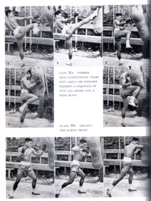 brucelee8.jpg
