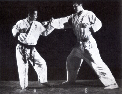 kyokushinkaikarate10.jpg