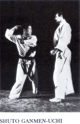 kyokushinkaikarate8.jpg