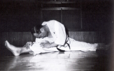 kyokushinkaikarate7.jpg