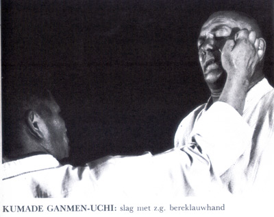 kyokushinkaikarate6.jpg