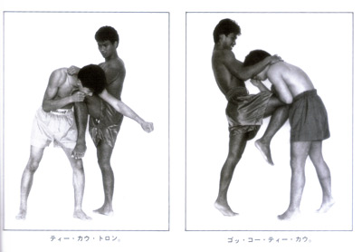 ザ・ムエタイ3.jpg
