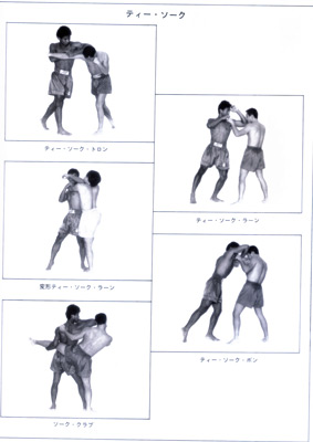 ザ・ムエタイ2.jpg