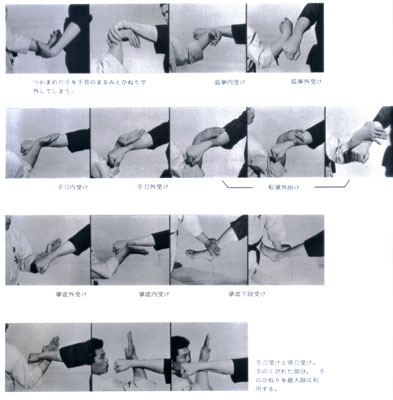 秘伝極真空手5.jpg