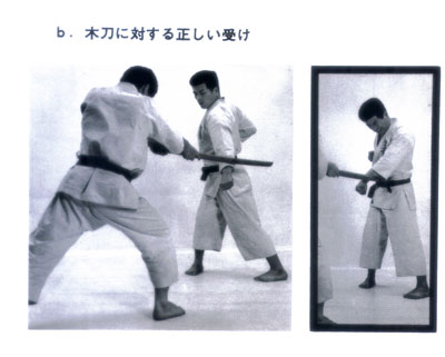 秘伝極真空手3.jpg