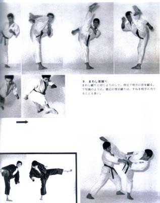 秘伝極真空手2.jpg