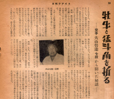 牡牛と猛斗.jpg
