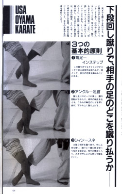 ザ・カラテ11.jpg