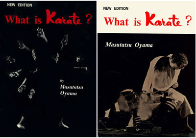 whatiskarate9.jpg