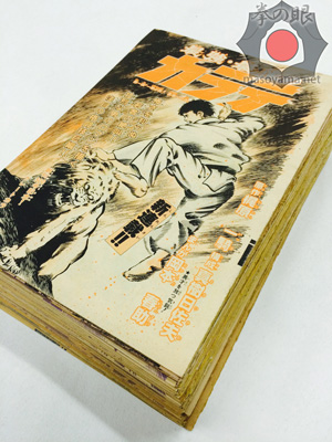 漫画最強最後のカラテ.jpg