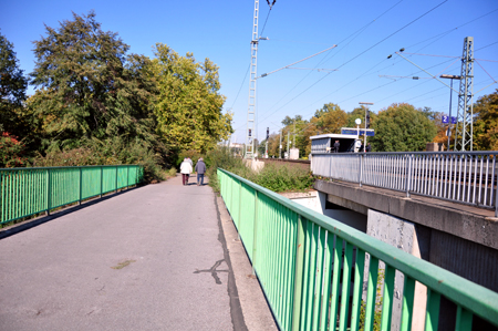 DSC_0721.jpg