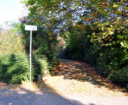 DSC_0723.jpg