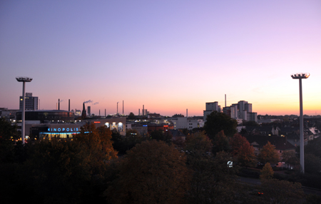 DSC_0677.jpg