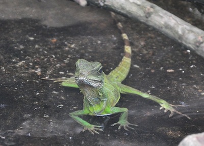 DSC_6906.jpg