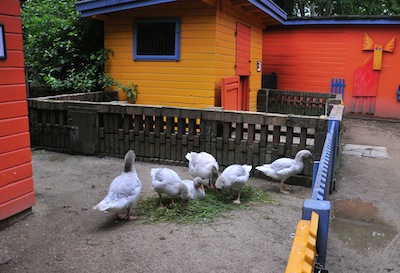 DSC_6949.jpg