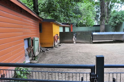 DSC_6953.jpg