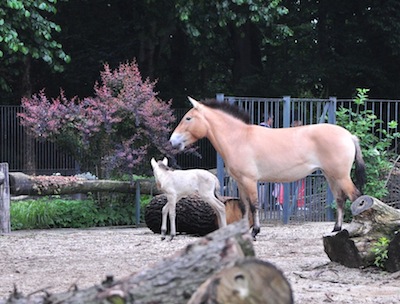 DSC_6965.jpg