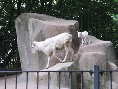 DSC_6972.jpg
