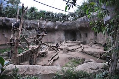 DSC_7002.jpg