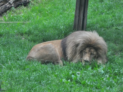 DSC_7035.jpg