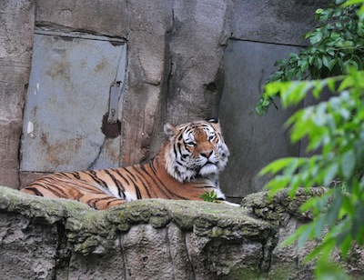 DSC_7087.jpg