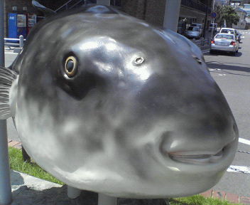 200708071325000.jpg