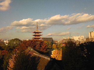 淺草公会堂から見える浅草寺