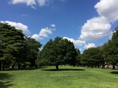 稲荷山公園