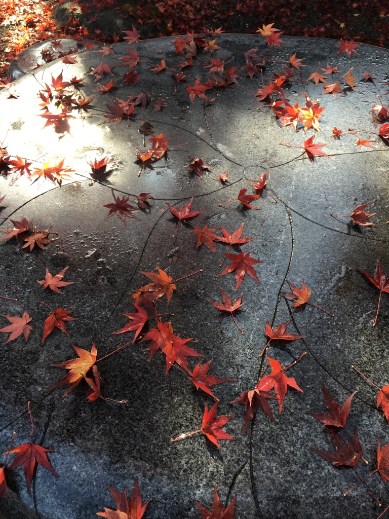 ジョンソンカフェ 紅葉