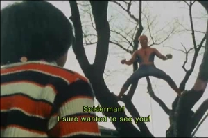 あ、スパイダーマン!