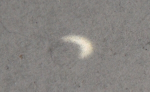 2012ǯ5·î21Æü¡¡¶â´ÄÆü¿©
