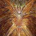 CYNIC/FOCUS