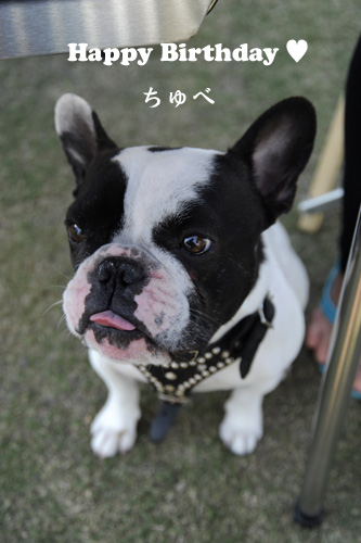 2歳おめでとう!