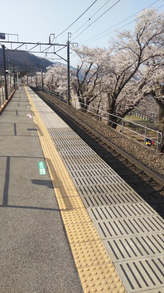 ���¤֤ɤ�����1