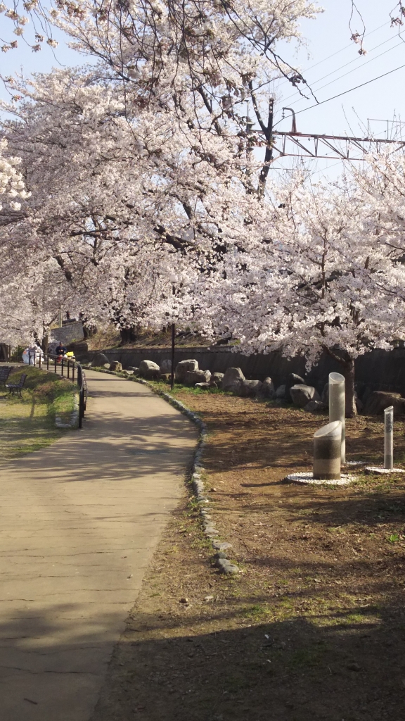 ���¤֤ɤ�����2