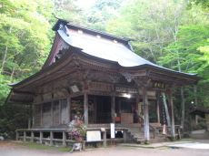 ¼¯¶µÅò²¹Àô¥