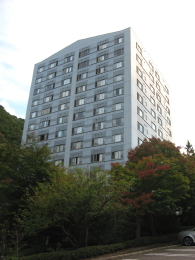 ¼¯¶µÅò²¹Àô¨