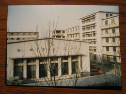 ¥1987û´üα³Ø
