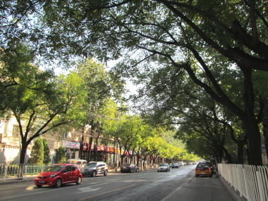 北京の古い住宅街
