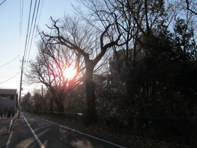 ¡2014ǯ¸µÃ¶