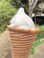 神田川花見ウォーク_9