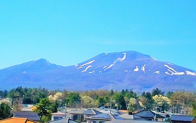 青葉のころ2015_15