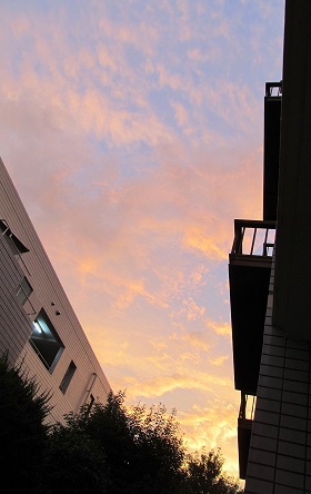 梅雨の候2015_11