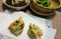 春・爛漫2016_3