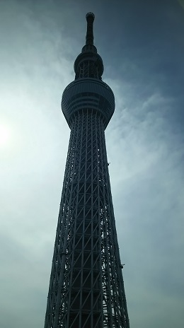 春・爛漫2016_13