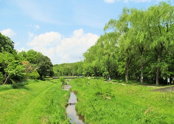 都立野川公園