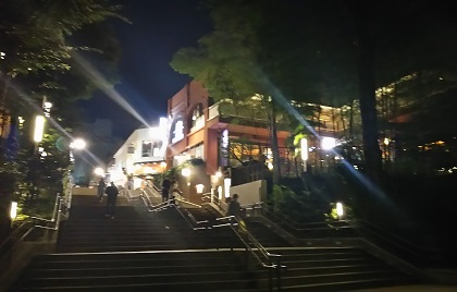 2016盛夏から晩秋へ_1