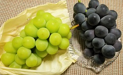 2016盛夏から晩秋へ_10