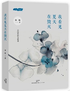 徐暢著『我看見夏天在毁滅』