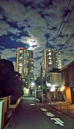 十五夜お月様